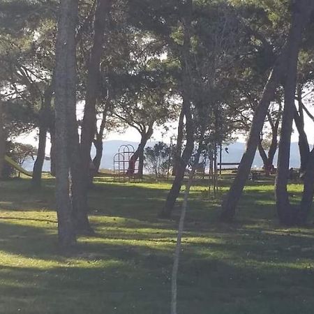 Apartmán Apartman Petar Zadar Exteriér fotografie