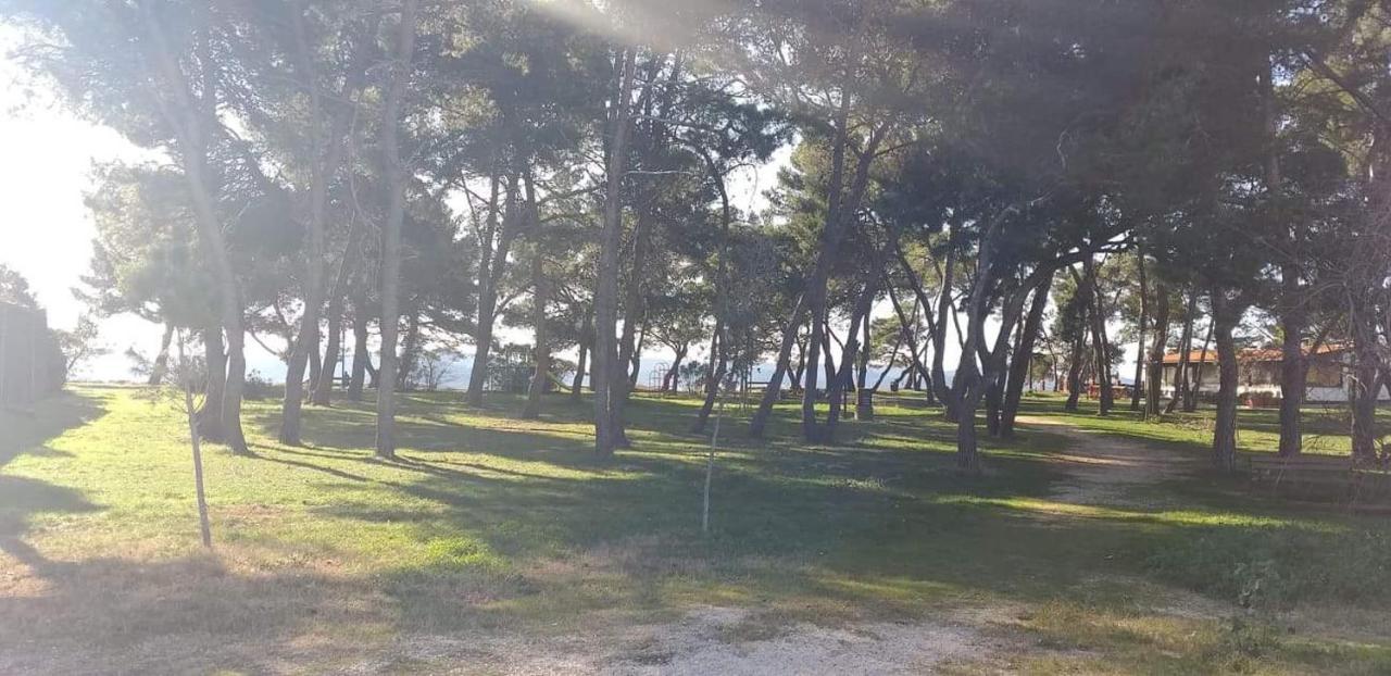 Apartmán Apartman Petar Zadar Exteriér fotografie